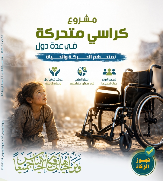 صورة كراسي متحركة في عدة دول